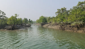 সুন্দরবন শিক্ষা সফর